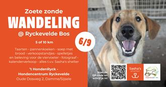 foto: Onze Hondenwandeling tvv het goede doel ; een losloop asiel