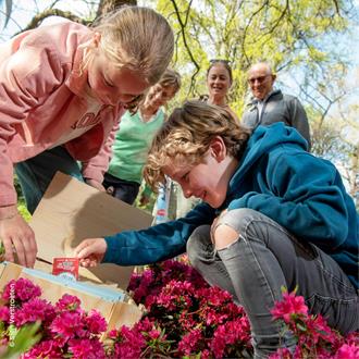 foto: Schatten van Vlieg 2026