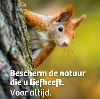 foto: Natuurpunt