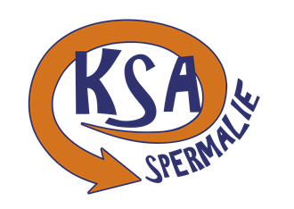 foto: KSA Logo