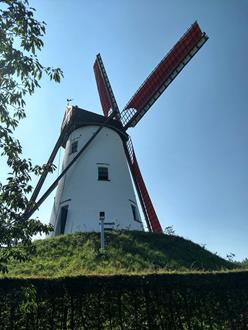 foto: Foto schellemolen 2