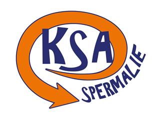 foto: KSA Logo