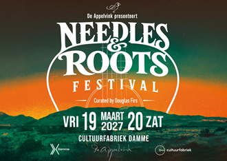 foto: Needle en Roots FESTIVAL  - De Appelvink