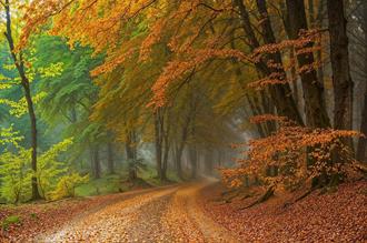 foto: Natuurpunt