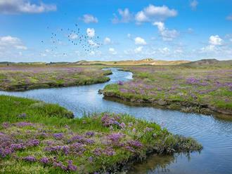 foto: Natuurpunt