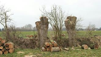 foto: Natuurpunt